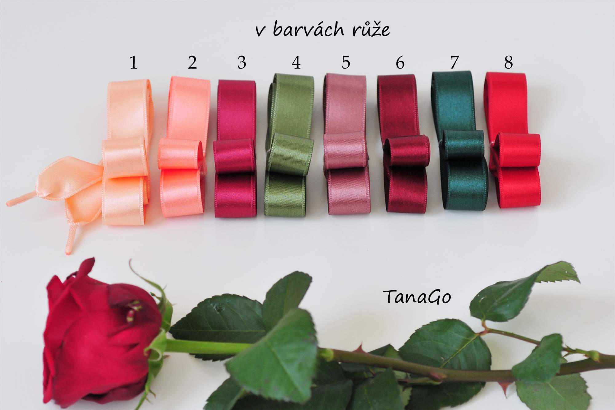 Kolekce v barvách růže